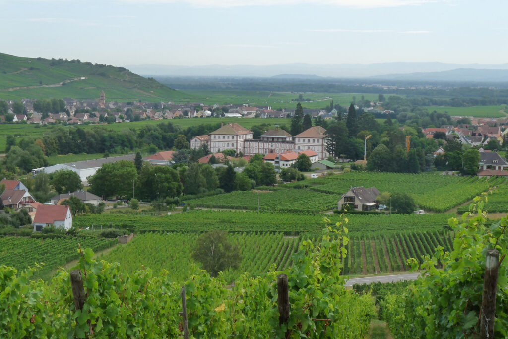 À moins de 2h de Strasbourg, ce village médiéval au bord de l’eau est un véritable décor de conte